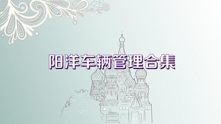阳洋车辆管理合集