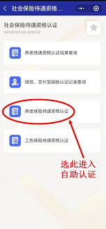 天津人力社保app养老认证如何操作