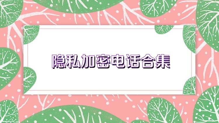 隐私加密电话合集