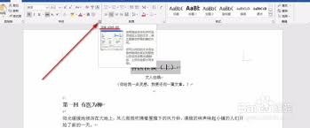 word里怎么设置双删除线