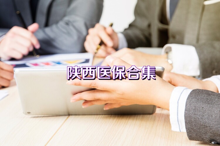 陕西医保合集