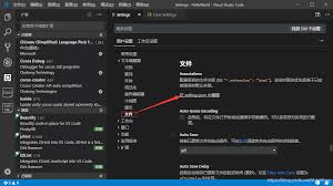 vscode查找功能怎么设置
