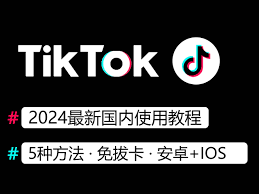 tiktok国内可用版有哪些版本