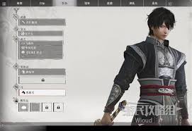 真三国无双：起源开荒用什么武器