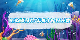 2.8日支付宝神奇海洋答案是什么