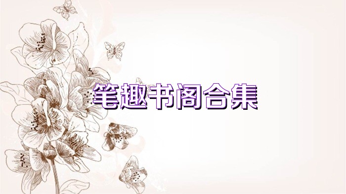 笔趣书阁合集