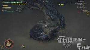 怪物猎人荒野沙海龙掉落什么素材