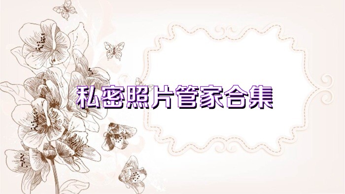 私密照片管家合集