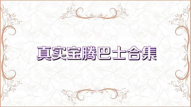 真实宝腾巴士合集