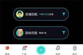 soul阅后即焚功能位置在哪