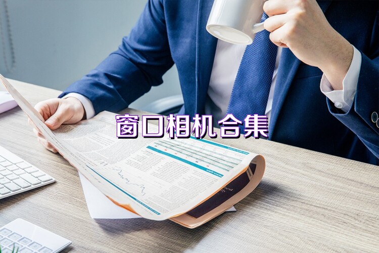 窗口相机合集