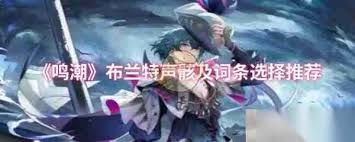 鸣潮2.1巨布偶声骸属性是什么