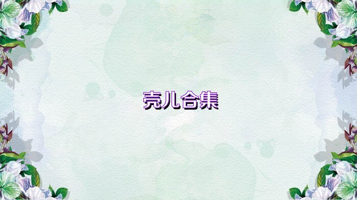 壳儿合集