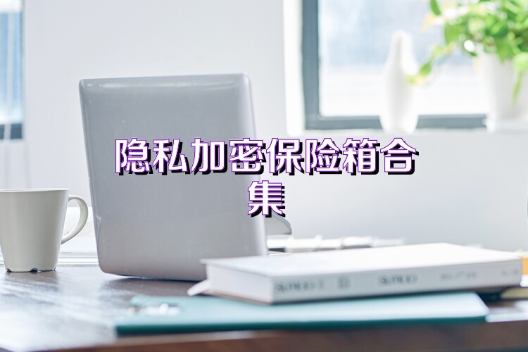 隐私加密保险箱合集