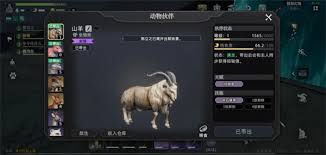 荒原曙光哪个宠物比较好