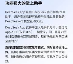 deepseek有什么作用