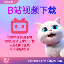 b站入口直接进入软件如何设置