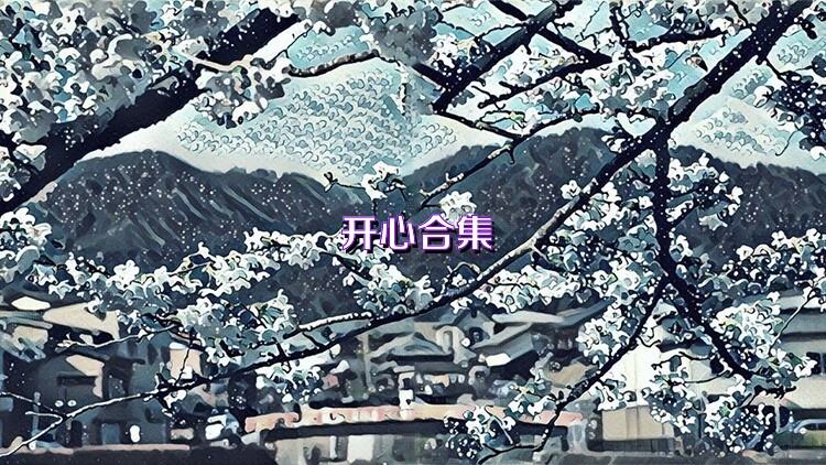 开心合集