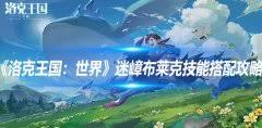 洛克王国世界迷嶂布莱克技能如何搭配