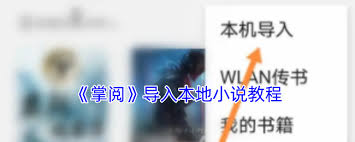 掌阅怎么导入电子书