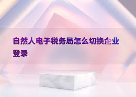 电子税务局怎么切换企业账号