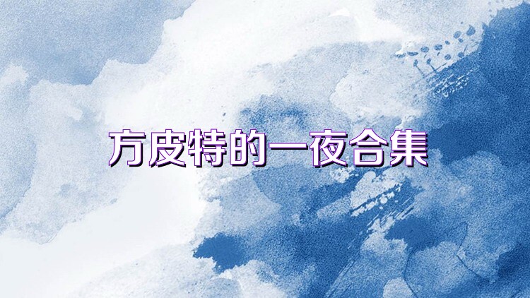 方皮特的一夜合集