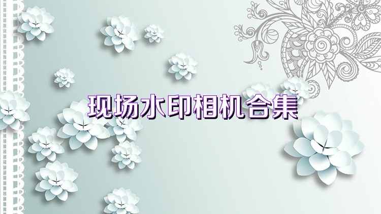 现场水印相机合集