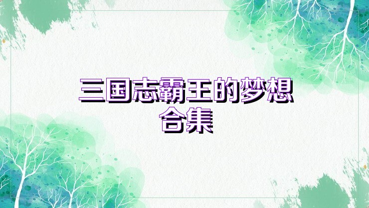 三国志霸王的梦想合集
