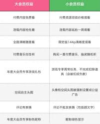 b站年度小会员能干什么