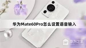 华为mate60pro如何设置充电语音