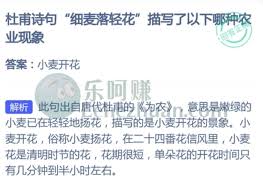 杜甫诗句细麦落轻花描写了什么农业现象