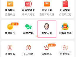 淘宝纽扣在哪能兑换物品