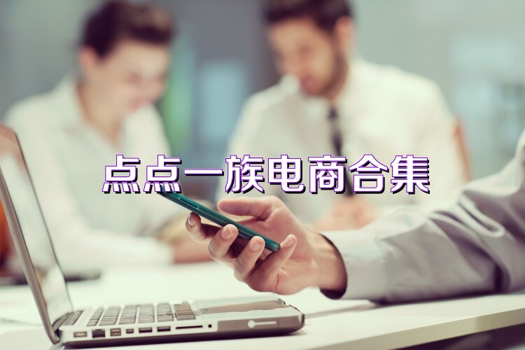 点点一族电商合集