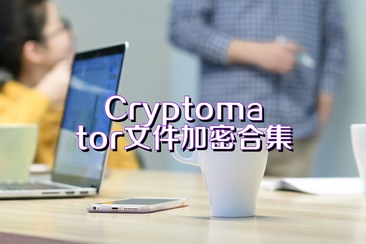 Cryptomator文件加密合集