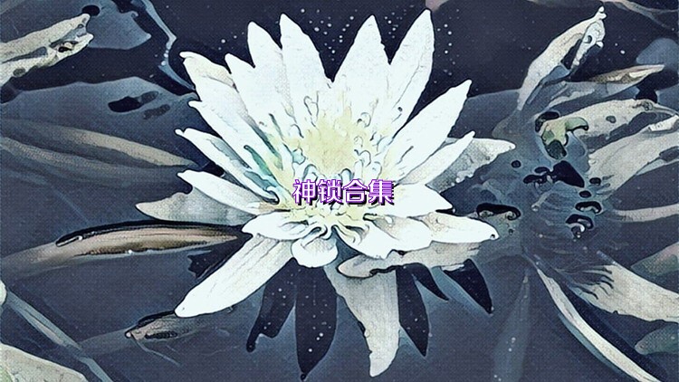 神锁合集