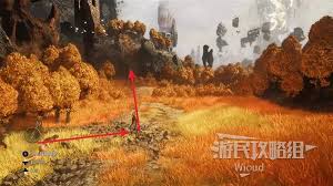 光与影33号远征队迷失林怎么探索