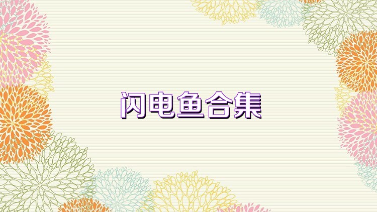 闪电鱼合集
