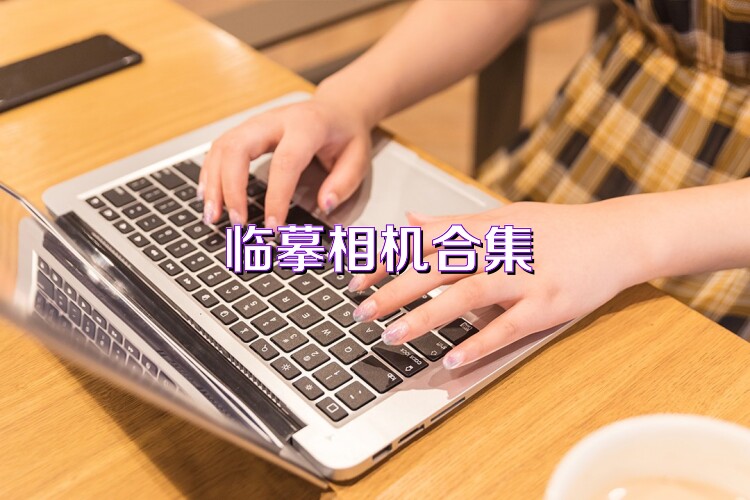 临摹相机合集