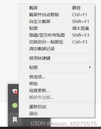 Snipaste安装后打不开主界面怎么办