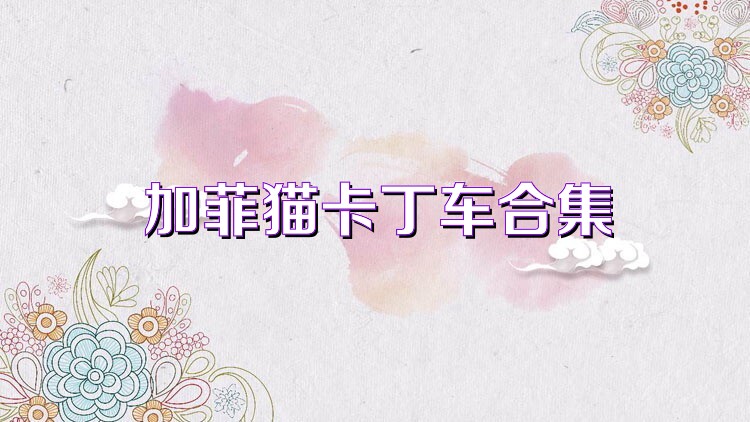 加菲猫卡丁车合集