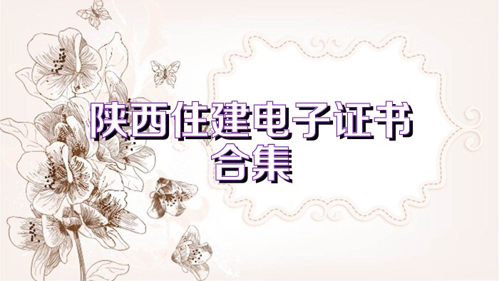 陕西住建电子证书合集
