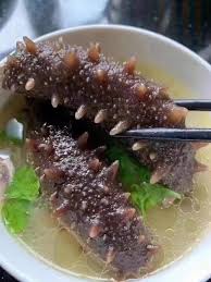 海参是软体动物吗