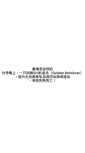 抖音金毛siri是什么梗