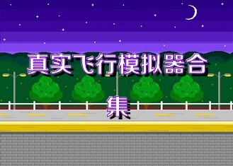 真实飞行模拟器合集