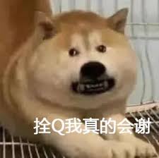 抖音我真的栓Q是什么梗