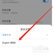 铁路12306如何将英文换成中文