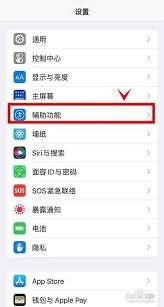 iPhone13如何开启来电闪光提醒