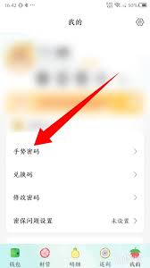 松鼠记账如何启用手势密码