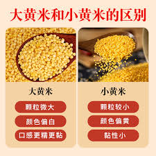 豆包和通义千问哪个更具优势