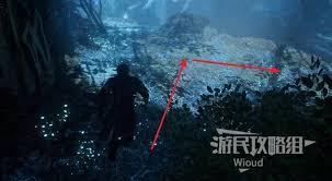 光与影33号远征队春意原野怎么探索